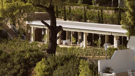 1452_Noble House - Wine Yard 1.jpg